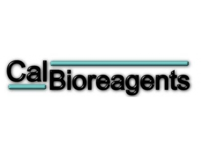 CalBioreagents代理，CalBioreagents蘇州代理，